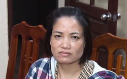 Đang chờ thi hành án, "nữ quái" tiếp tục lừa đảo chiếm đoạt hơn 700 triệu đồng