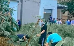 Vụ thi thể lìa đầu ở Hải Phòng: Công an hé lộ hành vi man rợ của nghi phạm