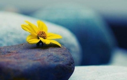 Còn giữ 3 thói quen này là còn làm tổn hại phúc khí