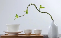 5 loại lời này người đạo đức giả rất hay nói