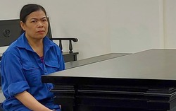 Nữ giáo viên tiểu học lừa tiền tỷ của hàng chục đồng nghiệp