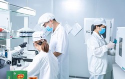 Tảo xoắn Đại Việt - bước đột phá của ngành tảo Việt Nam