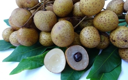 Ăn nhãn thế nào để không bị nóng?