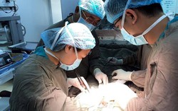 Hi hữu: Chửa ngoài tử cung ở đại tràng ngang