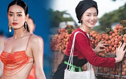 Mỹ nhân cao 1m76 được "bà trùm Hoa hậu" chờ đợi đến Miss Grand Vietnam tranh tài
