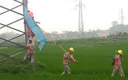 Xử phạt nam thanh niên thả diều làm chập cháy, mất điện trên diện rộng