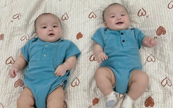Sau nhiều năm mong con, cặp vợ chồng hưởng trái ngọt là 2 bé sinh đôi kháu khỉnh