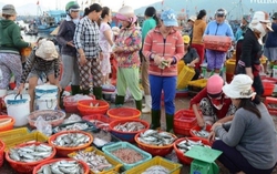 6 chợ hải sản đông đúc nhất Quảng Ninh