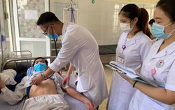 2 mẹ con bị ong đốt, một người tử vong