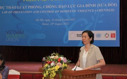 Nâng cao tính khả thi các quy định phòng ngừa, ngăn chặn tình trạng bạo lực gia đình