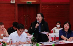Nâng cao trách nhiệm người đứng đầu cấp cơ sở trong hỗ trợ nạn nhân bạo lực gia đình