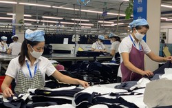Những vấn đề giới cần quan tâm trong và sau đại dịch Covid-19
