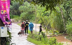 Vụ con rể sát hại gia đình vợ ở Hoà Bình: 2 nạn nhân đã qua cơn nguy hiểm