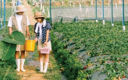 Kể chuyện tình yêu bằng hình ảnh