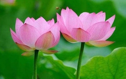  5 điều càng sớm làm càng hạnh phúc