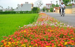 Đến năm 2025, phấn đấu cả nước có ít nhất 80% số xã đạt chuẩn nông thôn mới