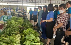 Bình Phước: Nhiều mô hình, cách làm hay chăm lo đời sống cho hội viên, phụ nữ