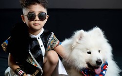 Show thời trang dành cho mẫu nhí và thú cưng