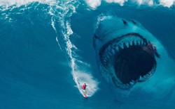 Điều gì sẽ xảy ra nếu loài cá mập Megalodon chưa bao giờ tuyệt chủng?