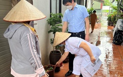 Hà Nội: Số ca mắc sốt xuất huyết tăng gấp 4,5 lần
