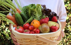 Mẹo phân biệt rau "bẩn" và rau "sạch" đơn giản nhất