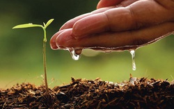 Những thầy cô giáo "gieo mầm xanh" hết lòng vì học sinh miền núi