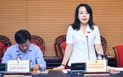Cần giải pháp giảm khoảng cách giới ở lĩnh vực lao động việc làm, gia đình, bạo lực sau đại dịch