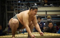 Kỷ luật thép tạo nên võ sĩ Sumo 270kg: Ăn gấp 4 lần người thường, ngủ phải dùng bình oxy