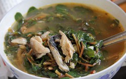 "Rau trường thọ" mọc dại, ít người biết công dụng