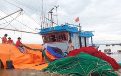 Yêu cầu Chủ tịch UBND các tỉnh, thành đình hoãn các cuộc họp không thật sự cấp bách để tập trung chỉ đạo, triển khai ứng phó bão Noru