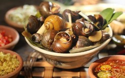 Thực hư thông tin mẹ bầu ăn ốc, con bị chảy dãi?