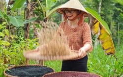 Khởi nghiệp từ ly ngũ cốc của mẹ
