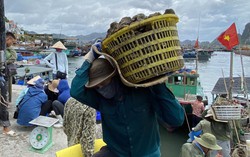 Làm giàu nhờ nuôi hàu