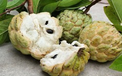1 quả na bao nhiêu calo? Ăn nhiều na có béo không?
