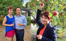 Chuyện tình cổ tích của cô gái miền Tây với ân nhân Việt kiều Đức