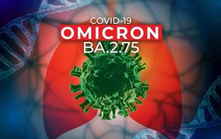 Chuyện đặt tên biến thể phụ của Omicron