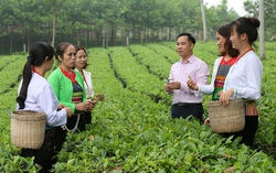 Giải ngân kịp thời, đáp ứng nhu cầu vay vốn của hộ nghèo và các đối tượng chính sách khác 