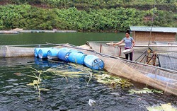 Khởi sắc ở Mường Trai 