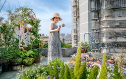 Dành 4 năm để biến sân thượng bỏ không thành khu vườn giữa lưng chừng trời