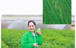 Thành công từ sản phẩm dành cho “lối sống xanh”