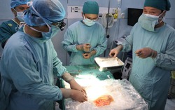 Thực hiện thành công ca ghép thận cho bé trai 15 tuổi từ cô gái chết não
