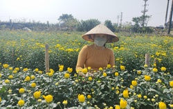 Người dân làng hoa Tây Tựu đối mặt với nỗi lo "mất Tết"