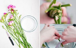 Mẹo giữ hoa tươi lâu gấp 2 lần để chơi Tết