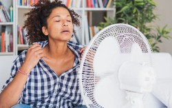 Mẹo hay giảm tình trạng "nóng trong người" ngày Tết