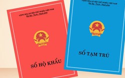 Hướng dẫn tra hộ khẩu điện tử qua Bảo hiểm xã hội online