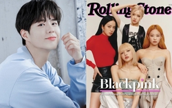 Thực hư việc Park Bo Gum gia nhập YG Entertainment