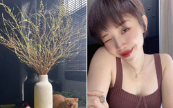 Sao Việt "mất ăn mất ngủ" vì sát Tết tuyết mai chưa nở hoa