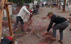 Tiểu thương bẻ đào, vặt nụ sau khi bị ép giá chiều 30 Tết