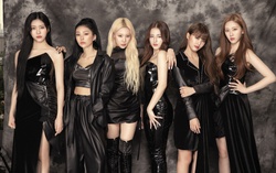 Toàn bộ thành viên MOMOLAND không tái ký hợp đồng với công ty quản lý sau 7 năm gắn bó