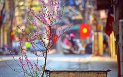 Chung tay hành động và chia sẻ trách nhiệm bảo vệ môi trường sống